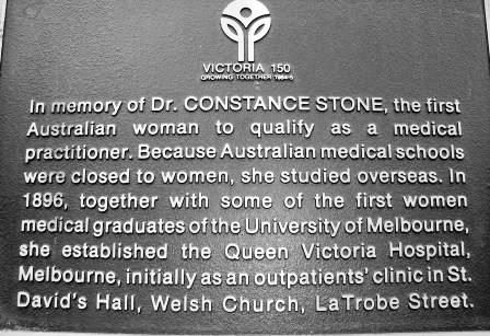 Dr Stone plaque 